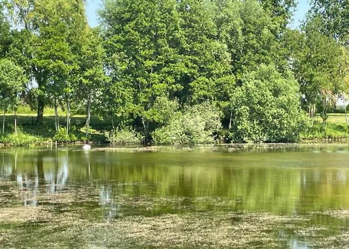 Maison Avec Piscine Au Milieu De La Baie D'authie Holiday home Waben